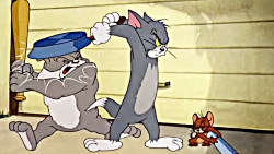 دعوای دستمال کاغذی