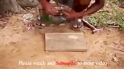 تله برای کبوتر