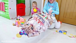 تولد بچه گربه های گبی و الکس!