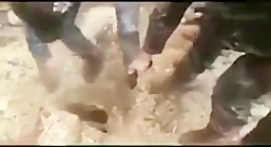 دستگیری صباح السلمان سرکرده دا...