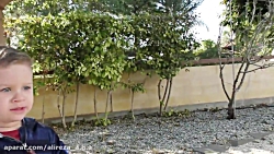 ماجراهای دیانا و روما | بازی د...