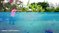 استیسی و بابایی اسباب بازی های...