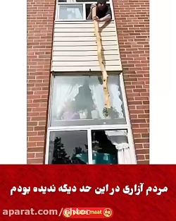 مردم آزاری در این حد دیگه ندید...