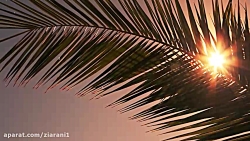 روش خداحافظی با ماه رمضان