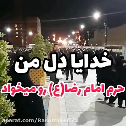 خدا دل واسه حرم امام رضا(ع)تنگ...