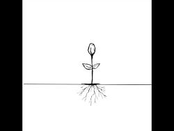 محمد معتمدی کاشکی