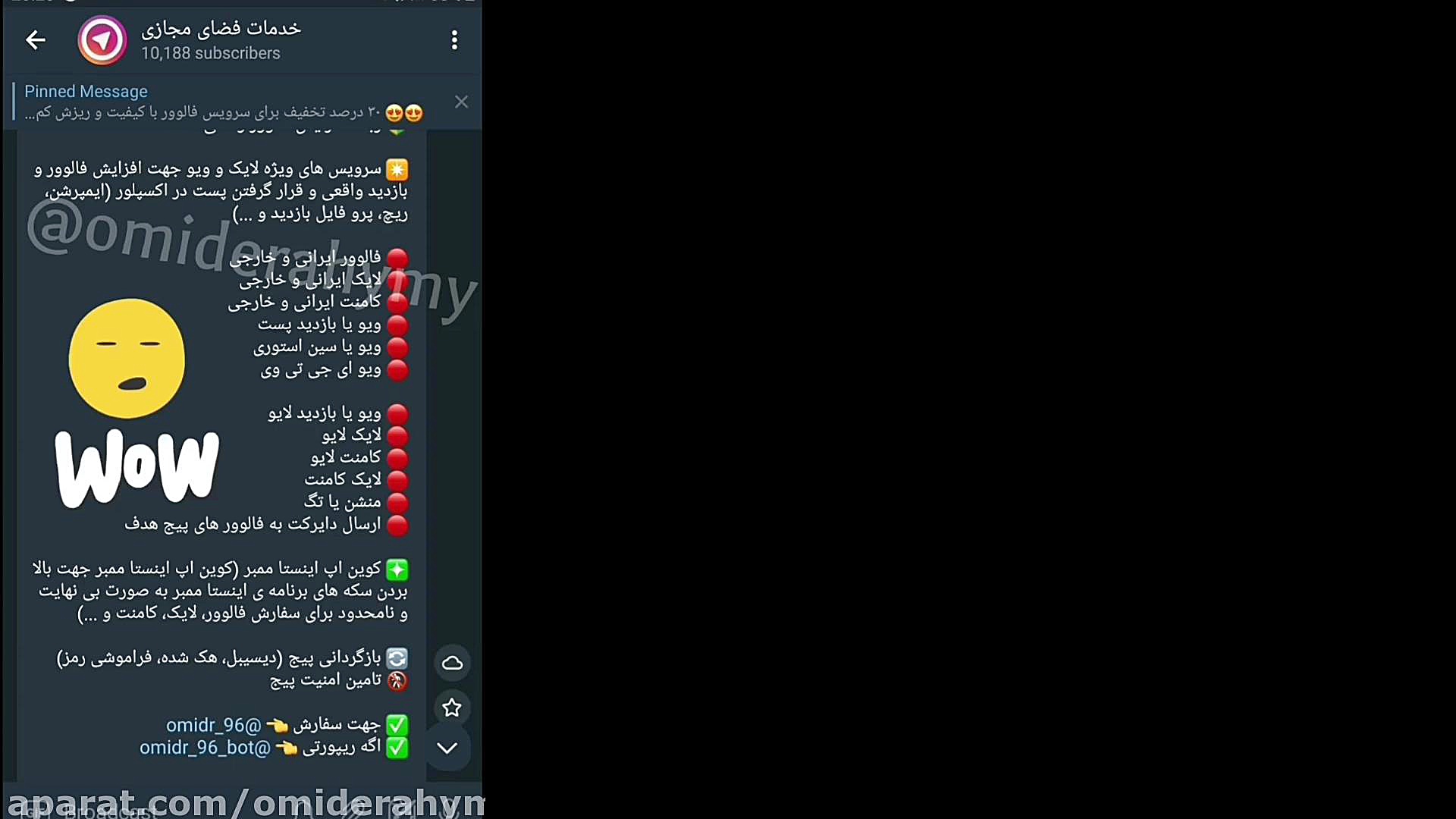 خدمات اینستاگرام (افزایش فالوور فیک یا واقعی لایک بازدید و ...) برداشتن خال