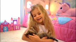 دیانا و روما :: بچه گربه دیانا...