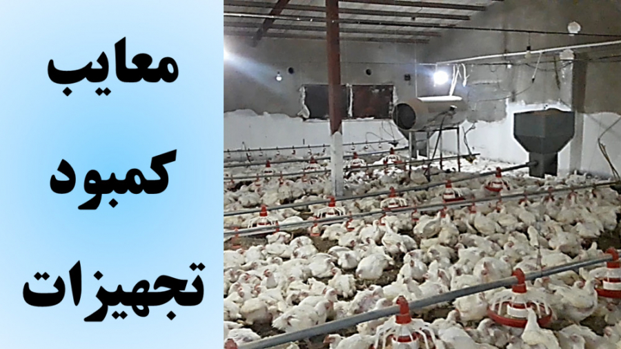 پرورش مرغ گوشتی: معایب کمبود تجهیزات گرمایشی در سالن مرغداری دکتر محمد مهدی عبدالهی (دامپزشک)