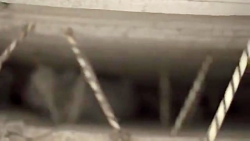 فن آوری های جدید است که ذهن شم...