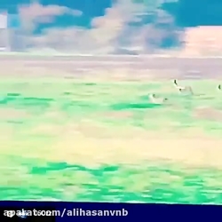 شکارچی