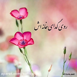 کلیپ استوری عید فطر