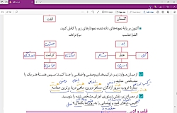 ویدیو حل تمرین و آموزش گنج حکمت فارسی دهم