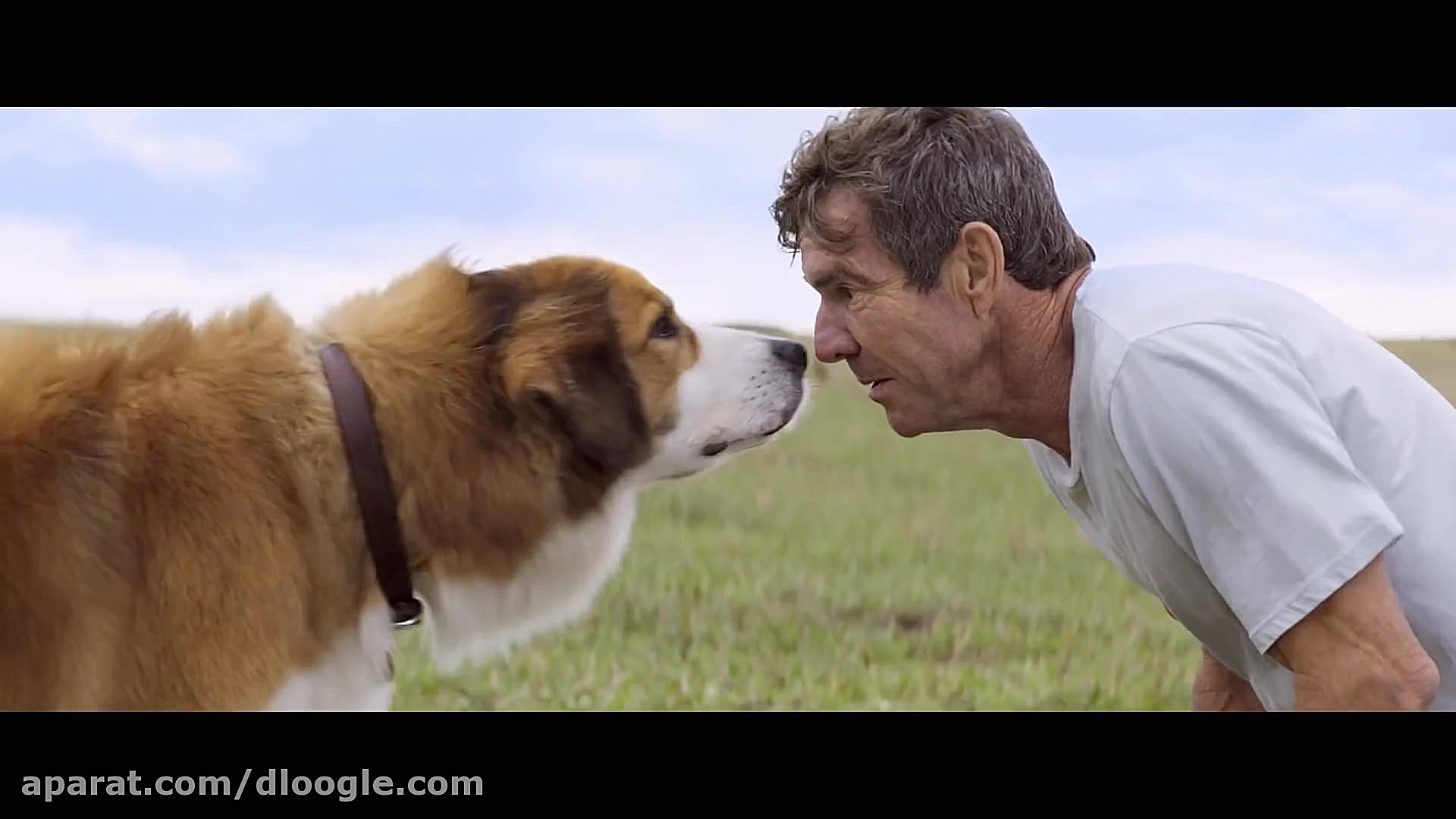 تریلر سوم فیلم سفر یک سگ - A Dog's Journey 2019 زمان148ثانیه