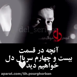 خلاصه قسمت 24 سریال دل