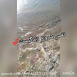 کیلیپ های فاز دوستی