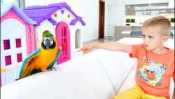 ی حیوون خونگی جدید میخوام؟!