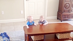 بهترین ویدوئوهای خنده دار از ب...