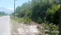 زمین ۱۰ هکتاری