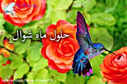 کلیپ تبریک عید فطر تبریک عید ف...