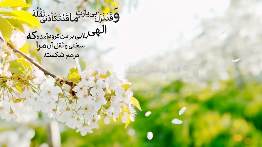 علی فانی the 7th dua of sahifa al-sajjadiya علی فانی the 7th dua of sahifa al-sajjadiya