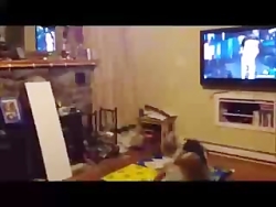 جالب  ویدئو  دانلود کلیپ  خنده...