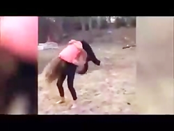 جالب - کلیپ های جالب _ ماجراها...