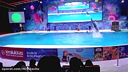 بازی دیانا و روما در شهر کودکا...