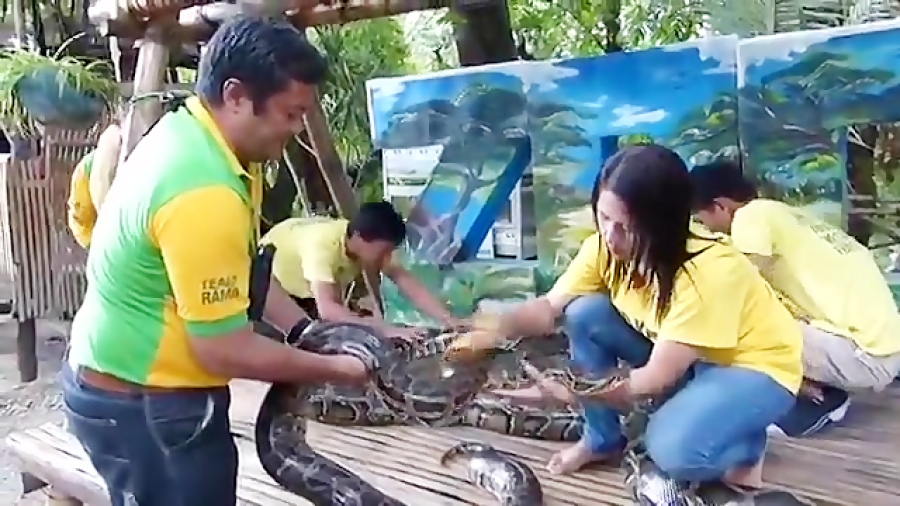 مار سفید Watch for the Mystery...