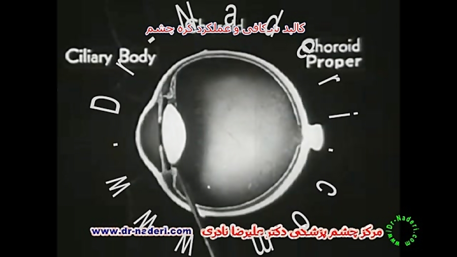 آناتومی و عملکرد چشم-مرکزچشم پزشکی دکتر علیرضا نادری مرکز چشم پزشکی دکتر علیرضا نادری www.dr-naderi.com