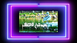 بهترین کلیپ فیلم 1 یک دقیقه ای...