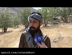 آتش سوزی ارتفاعات گچساران