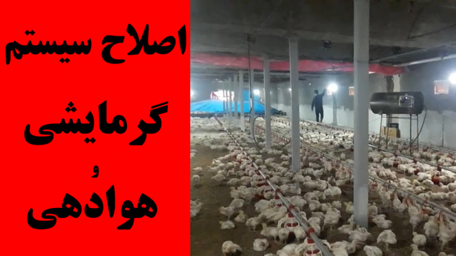 پرورش مرغ گوشتی: اصلاح سیستم گرمایشی و هوادهی هنگام ویزیت دکتر محمد مهدی عبدالهی (دامپزشک)