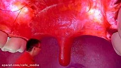 دیانا و روما - بازی دیانا و رو...