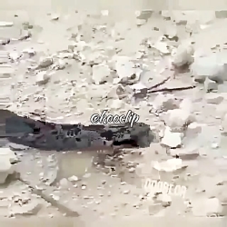 طنز خیلی خنده دار