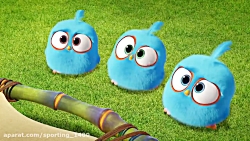 کلیپ انیمیشن پرندگان خشمگین ای...