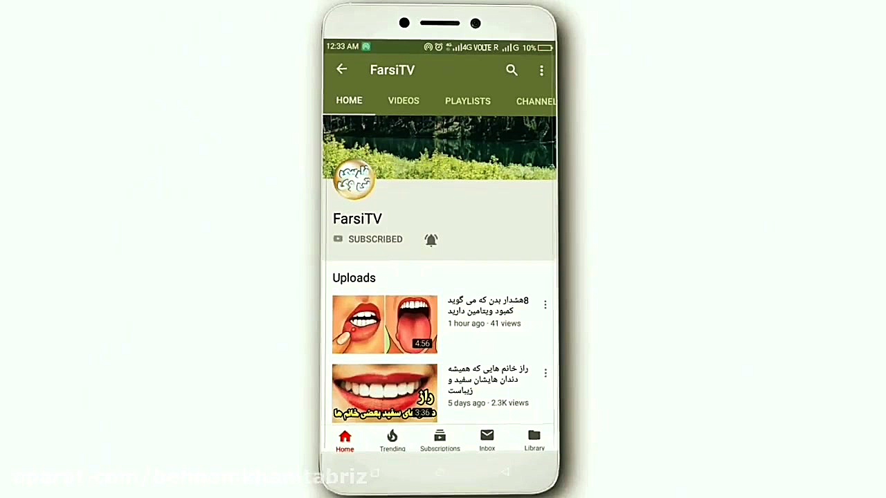 دمنوش جعفری برای لاغری پوست و مو ماموپلاستی