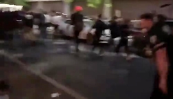 پلیس نیویورک