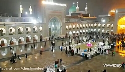 کلیپی از حرم امام رضا