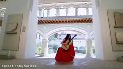نوازندگی گیتار کلاسیک، نوازنده...