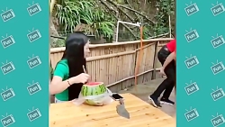 جدید ترین کلیپهای طنز