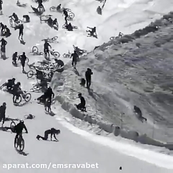 تصادف زنجیره ای دوچرخه سواران