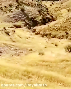 آتش سوزی وحشتناک زاگرس و فرار...