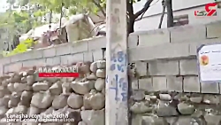 رومینا اشرفی در این خانه توسط...