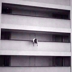 استورى اینستا،وضعیت واتساپ( نش...