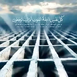 رابطه جنسی بادختر ازپشت..........