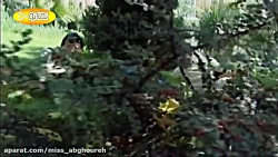 سریال سه در چهار قسمت ۶