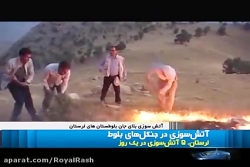 آتش سوزی در جنگلهای بلوط زاگرس