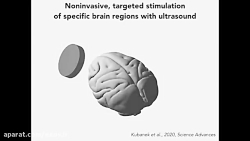 تحریک مغز میمون‌ها با امو...
