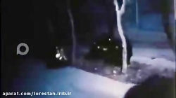 رسانه مجازی لرستان